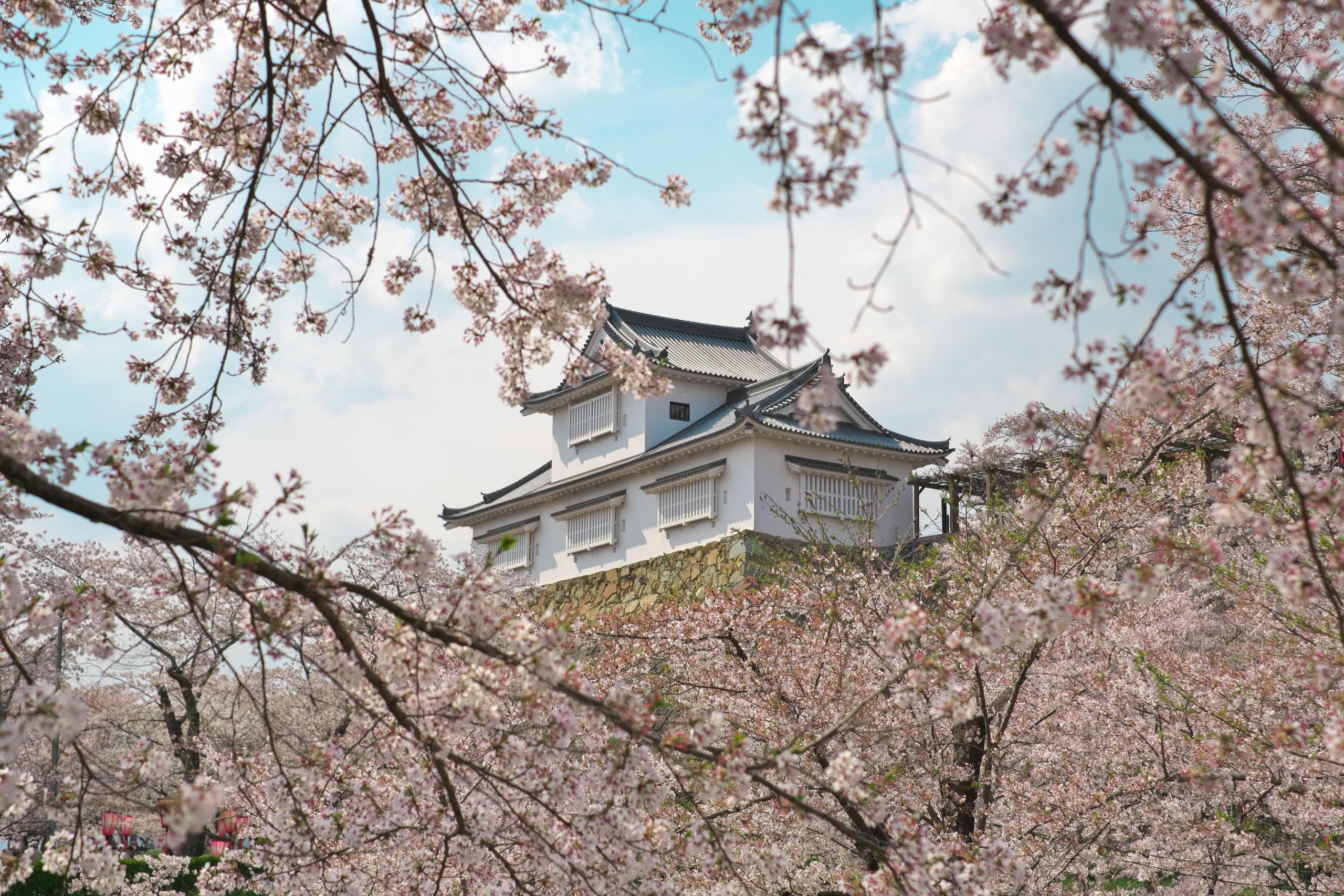 津山城の写真