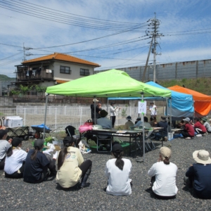 サツマイモの苗植えをしました イメージ